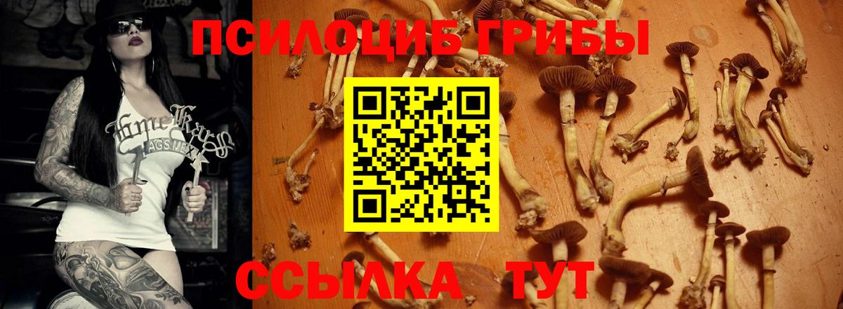 Галлюциногенные грибы Magic Shrooms Сокол